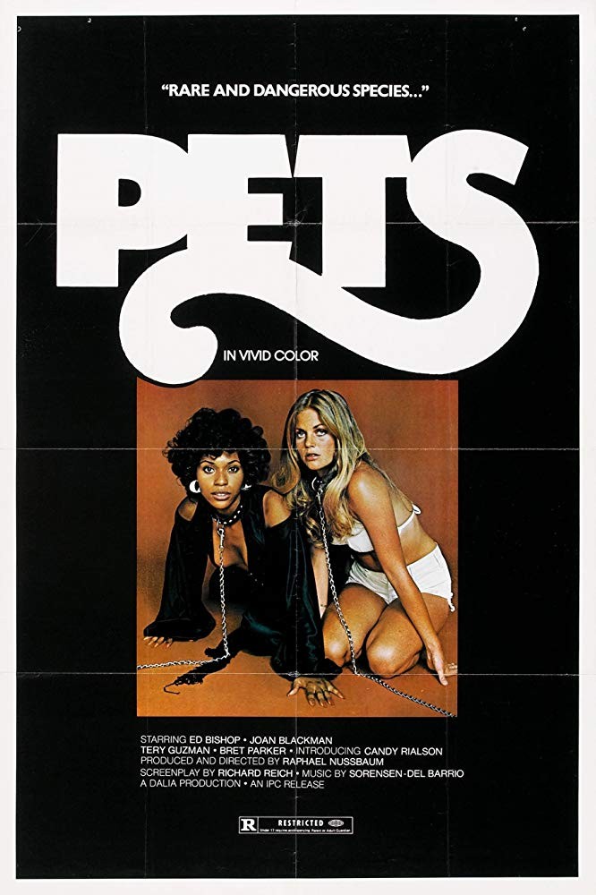 宠物1973